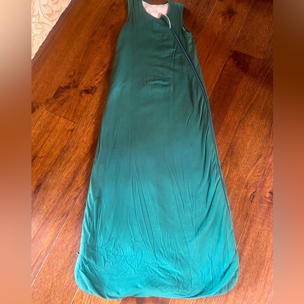 Kyte Baby 1.0 Sleep Bag